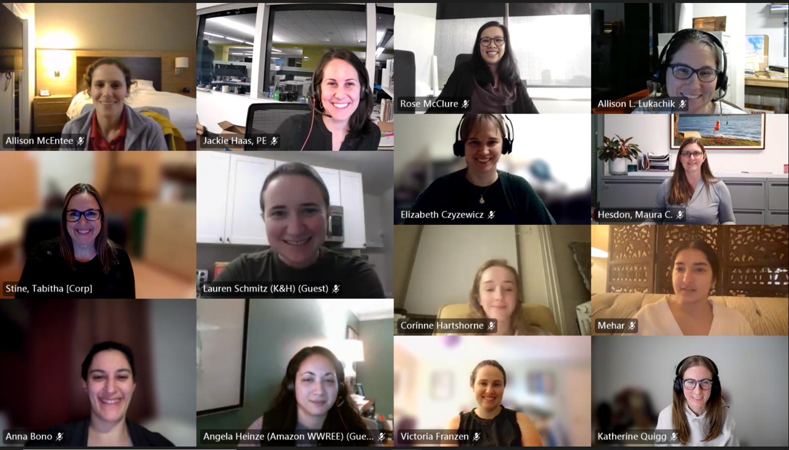 WiSE - group of members on Zoom
